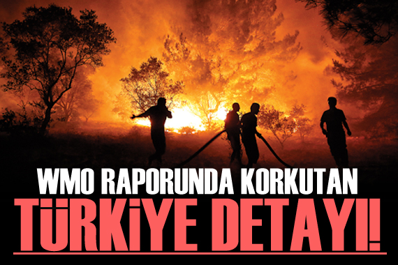 WMO yayınladı! Korkutan Türkiye detayı