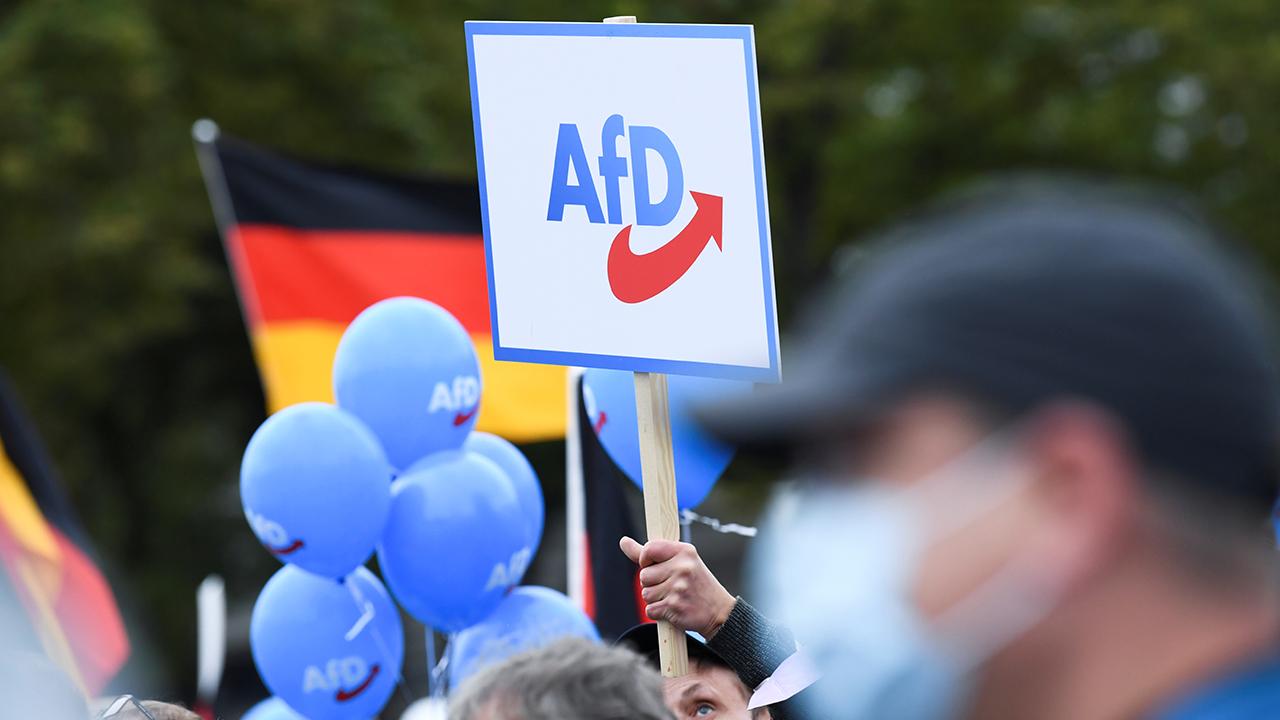 Almanya da AfD partisinin, Federal Mecliste 100 den fazla aşırı sağcıyı çalıştırdığı iddia edildi