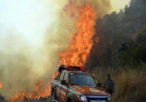 Bursa daki orman yangını kontrol altına alındı
