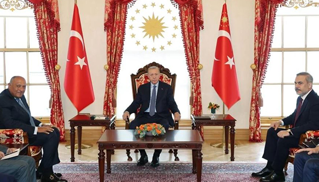 Erdoğan, Mısır Dışişleri Bakanı nı kabul etti