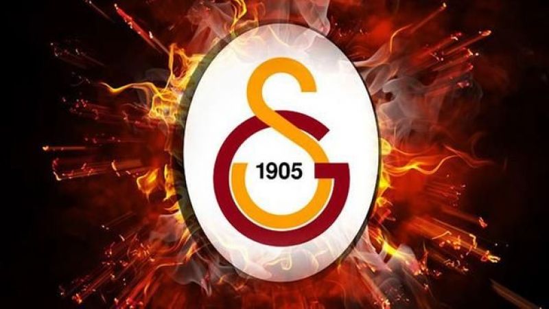 Dragana Stankovic, Galatasaray da