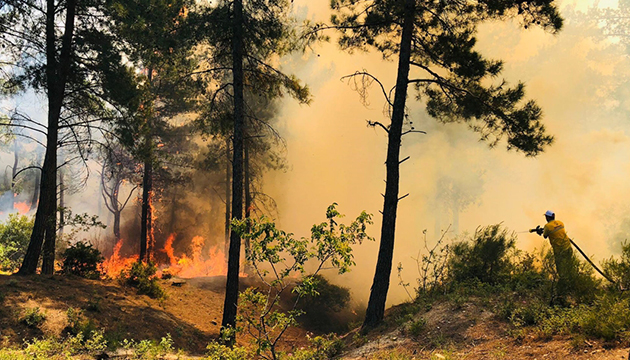 Marmaris ve Kaş ta orman yangınları