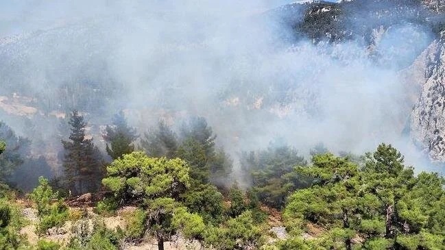 Antalya da ormanlık alanda yangın: Müdahale ediliyor!