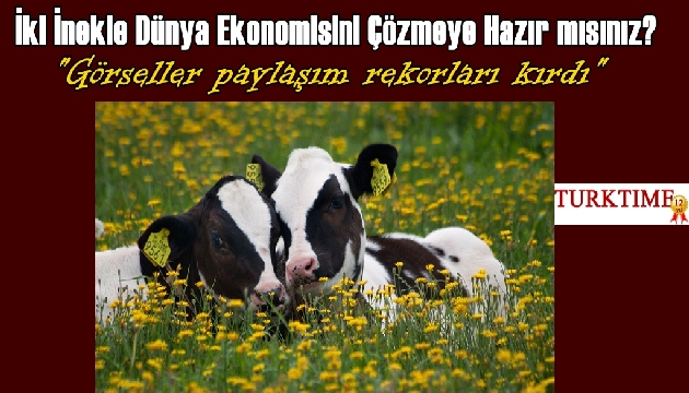 2 İnekle Dünya Ekonomisini Çözmeye Hazır mısınız?