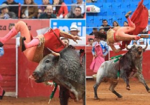 Kadın matador çok fena boynuzlandı!