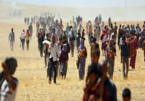 IŞİD 1500 Yezidi Çocuğunu Kaçırdı!