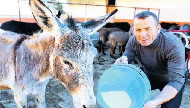 Eşek sütünün 1 kg 80 lira...