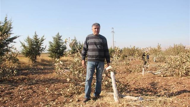 Hayatının şokunu yaşadı! 10 yıl uğraştı, bahçesine geldi ve...