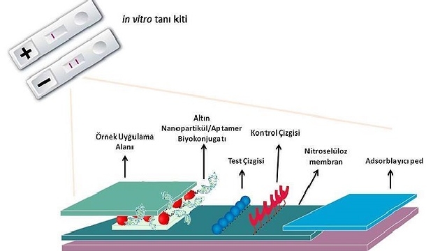 Tükürük ile uyuşturucu türü bilinecek!