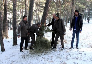 Yabani hayvanlar için doğaya yem bırakıldı!