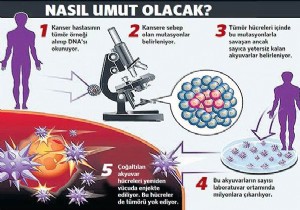 Kanserin ‘zayıf noktası’ tespit edildi!