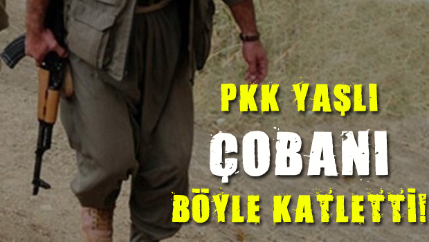 PKK 67 yaşındaki çobanı katletti!