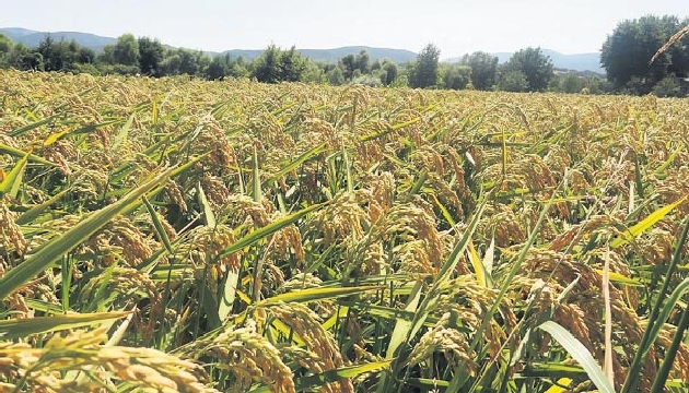 Rusya krizi 1 Ocak’ta biter mi?