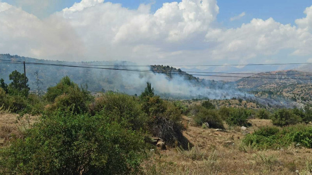 Diyarbakır da ormanlık alanda yangın çıktı, üzüm bağına sıçradı