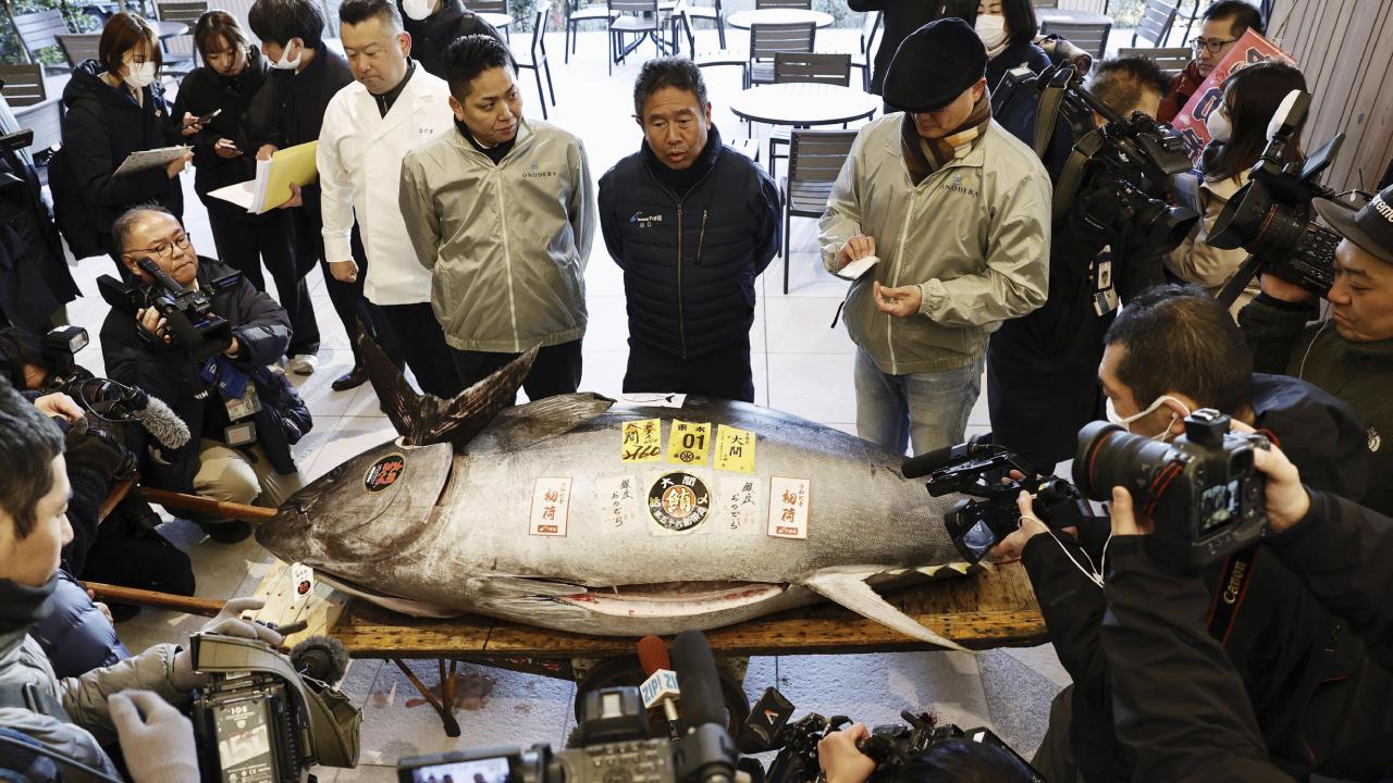 Japonya da mavi yüzgeçli orkinos 1,3 milyon dolara satıldı