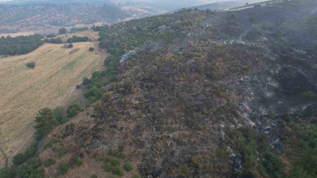 Bursa’da orman yangını