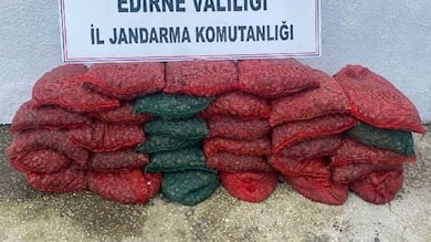 1 ton kaçak midye ile yakalanan 2 kişiye 148 bin lira ceza