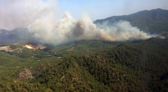 Giresun’da orman yangını!