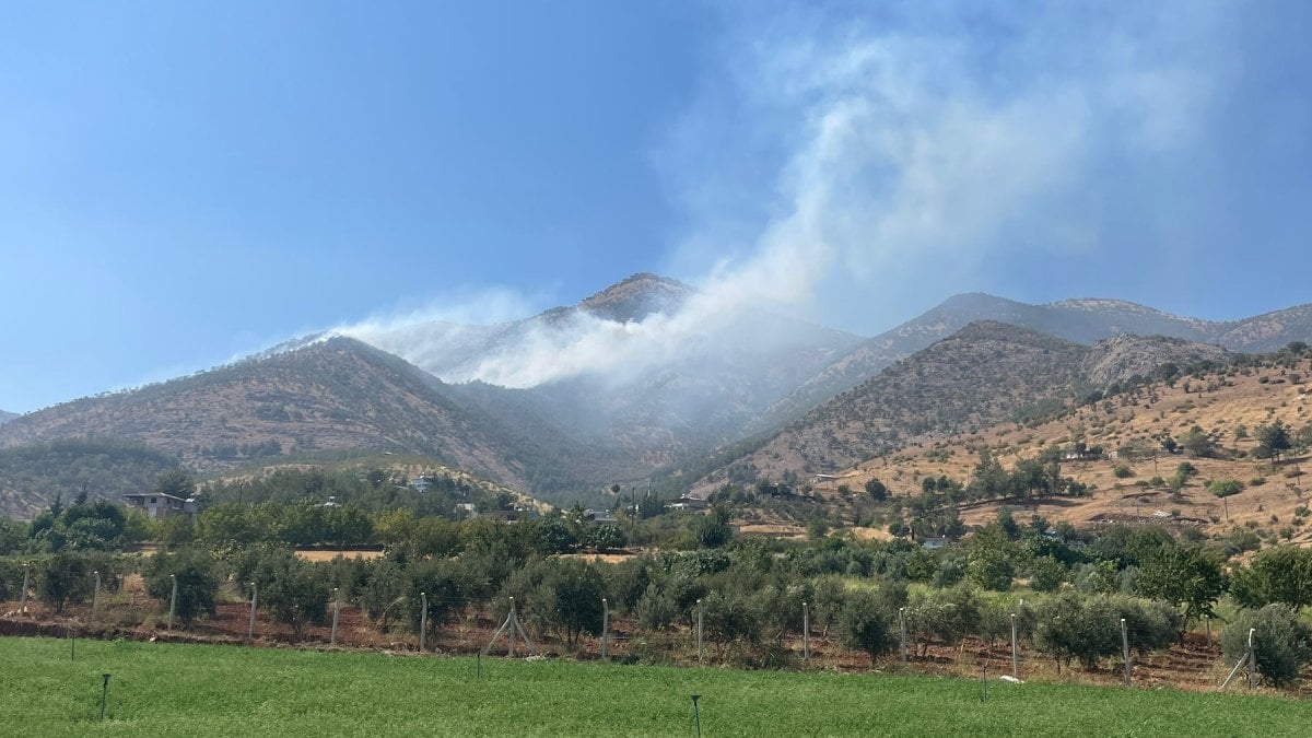 Kahramanmaraş ta orman yangını!