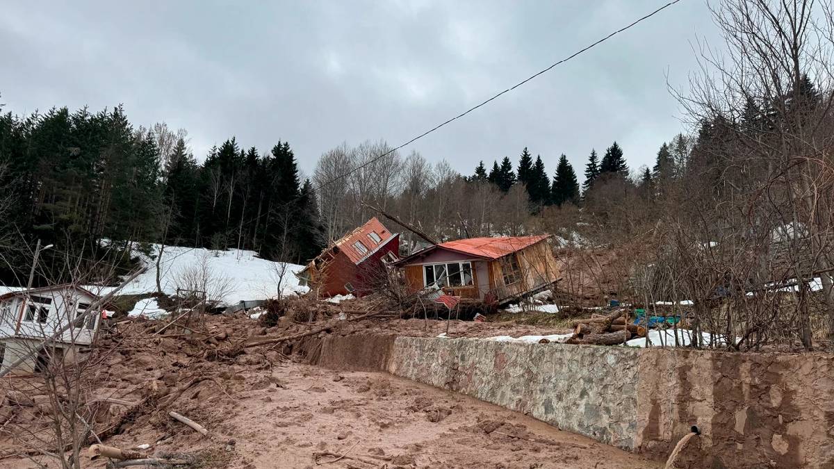 Artvin de heyelan: Evler zarar gördü