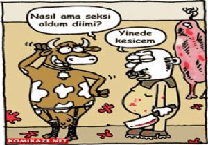 Erotik Karikatür Sanatı! 