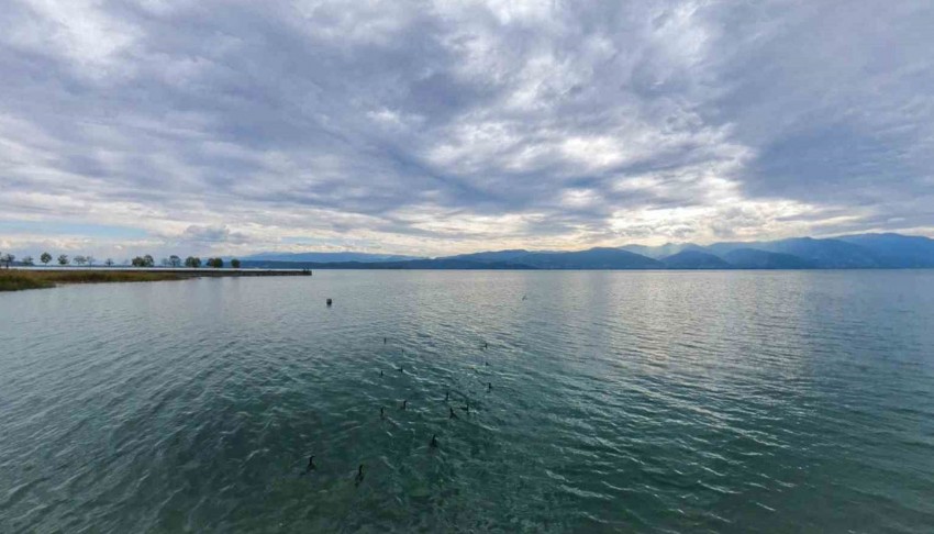 Sapanca Gölü'nden sevindiren haber!
