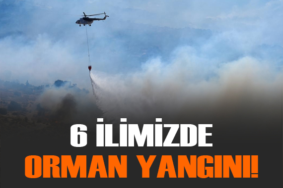 6 ilde orman yangını