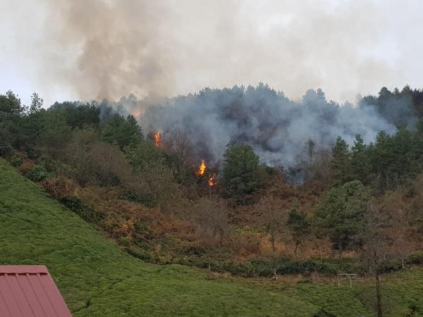 Doğu Karadeniz’de 23 farklı noktada örtü ve orman yangını!