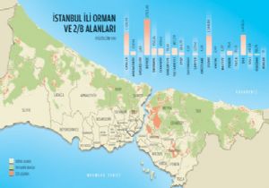 Sadece İstanbul da 16 Milyar Liralık 2-B Arazisi Var