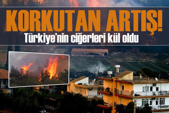 Türkiye de orman yangınları yüzde 78 arttı