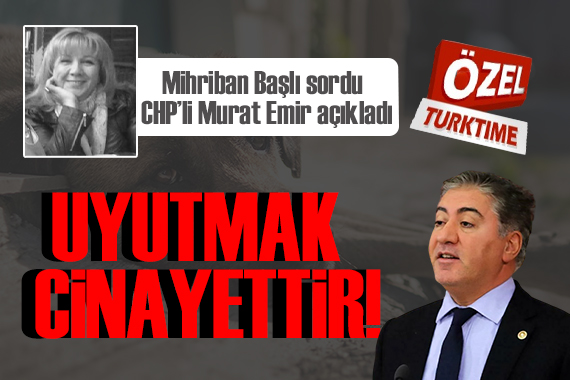 Turktime Parlamento Şefi Mihriban Başlı sordu, CHP li Murat Emir açıkladı: Sokak Hayvanlarının uyutularak katledilmesini onaylamayız