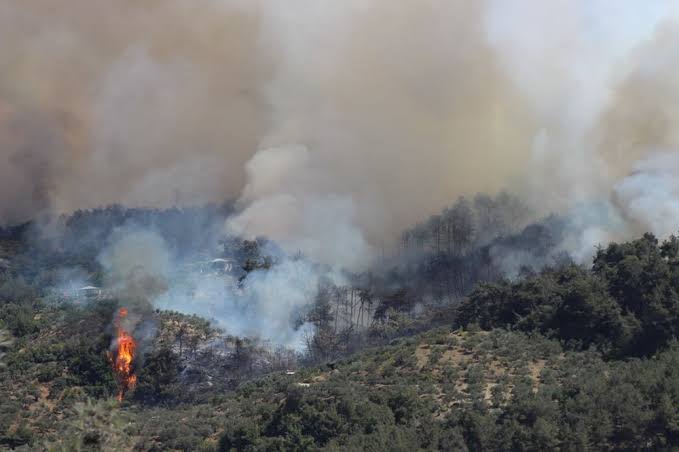 Hatay da orman yangını