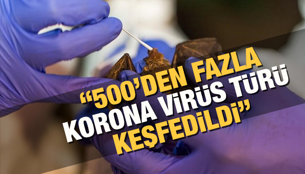 500 yeni korona virüs çeşidi saptandı!