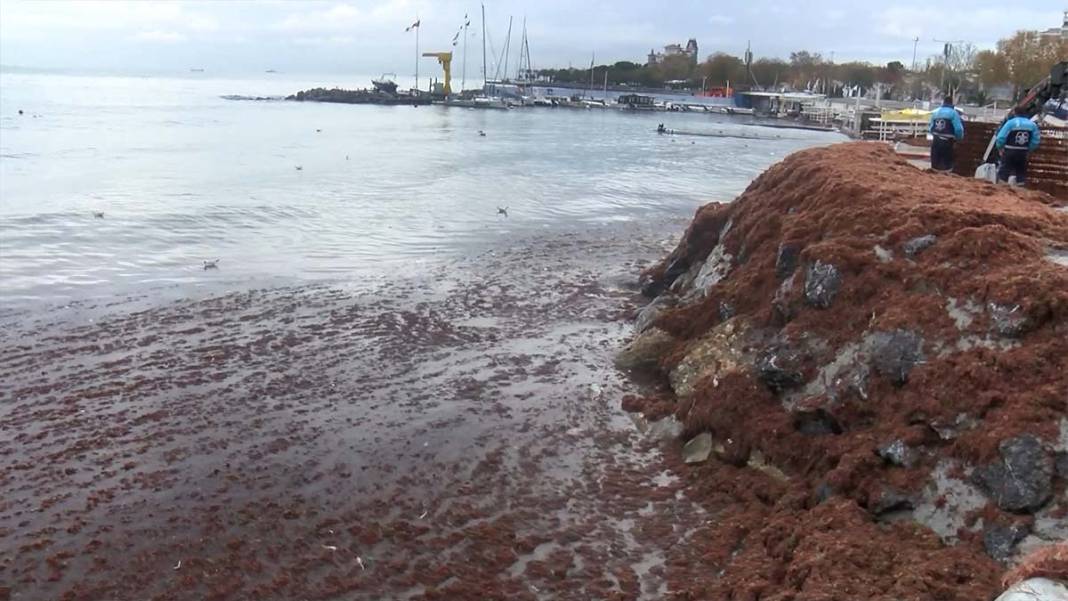 İstanbul da lodos sonrası şaşırtan görüntü