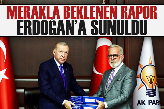 Başıboş sokak köpeklerine ilişkin rapor Cumhurbaşkanı Erdoğan a sunuldu