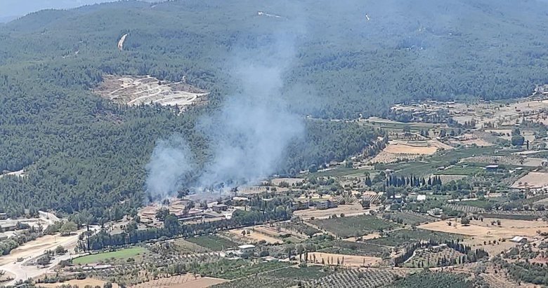 İzmir’de orman yangını