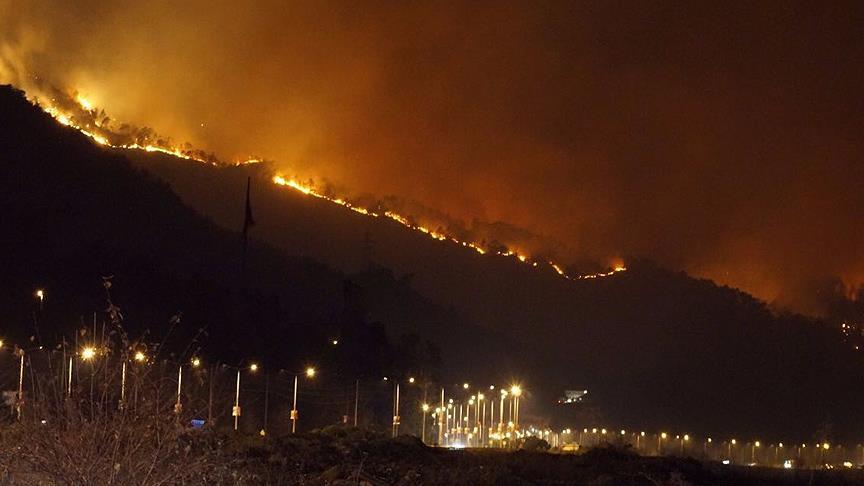 Trabzon daki orman yangını söndürüldü