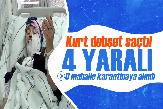 Köye inen kuduz kurt dehşet saçtı: 4 Yaralı