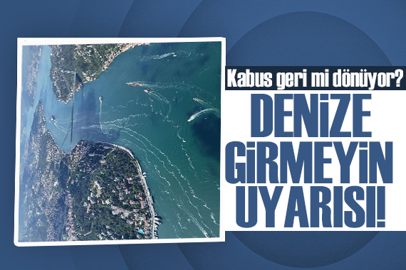 İstanbul da kabus geri mi dönüyor! Denize girmeyin uyarısı