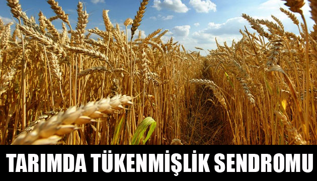 Tarımda  tükenmişlik sendromu 