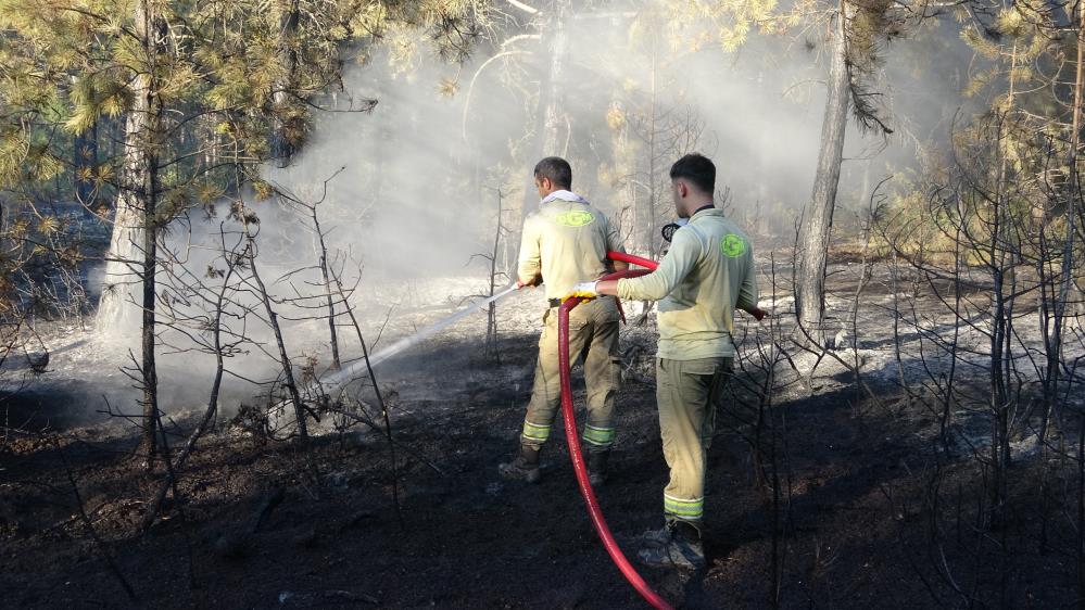 Kastamonu’da orman yangını kontrol altına alındı