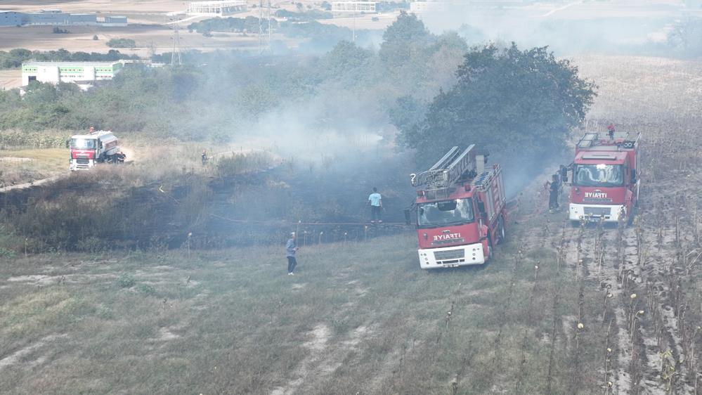 Tekirdağ da korkutan orman yangını: Yüksek gerilim hattı zarar gördü