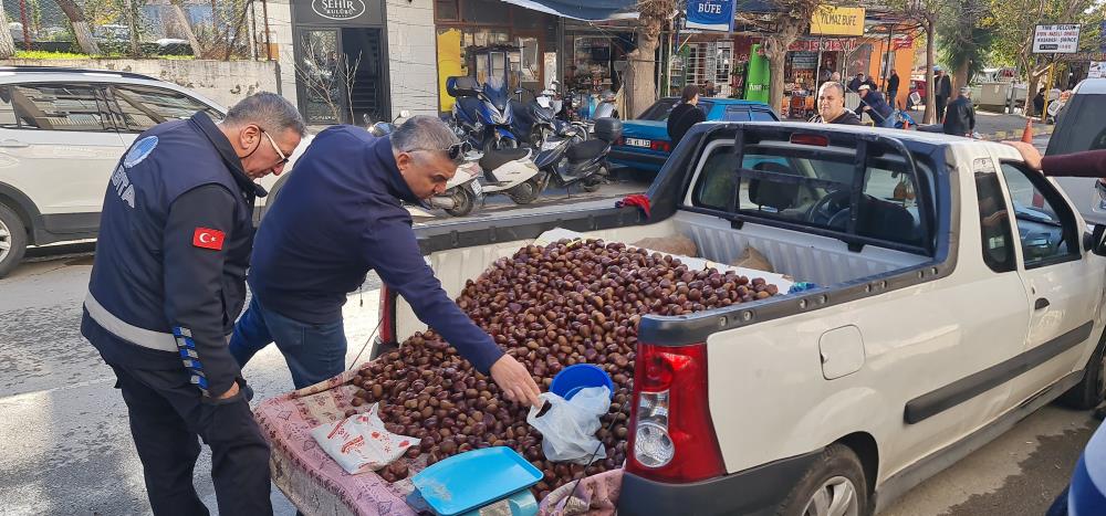 İzmir de Çin kestanesi operasyonu