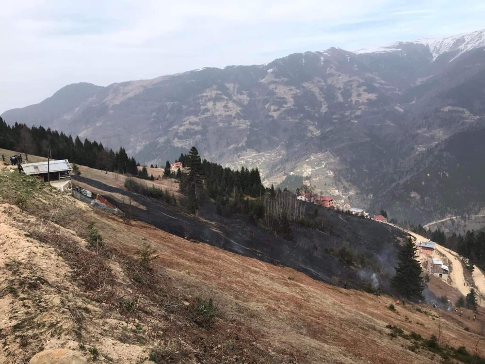 Trabzon da orman yangını