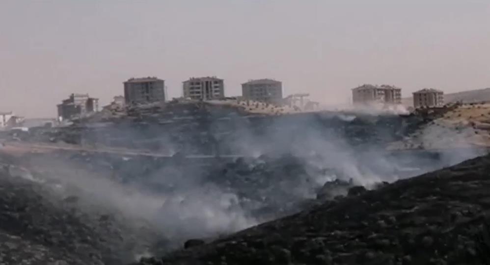 Gaziantep te korkutan orman yangını