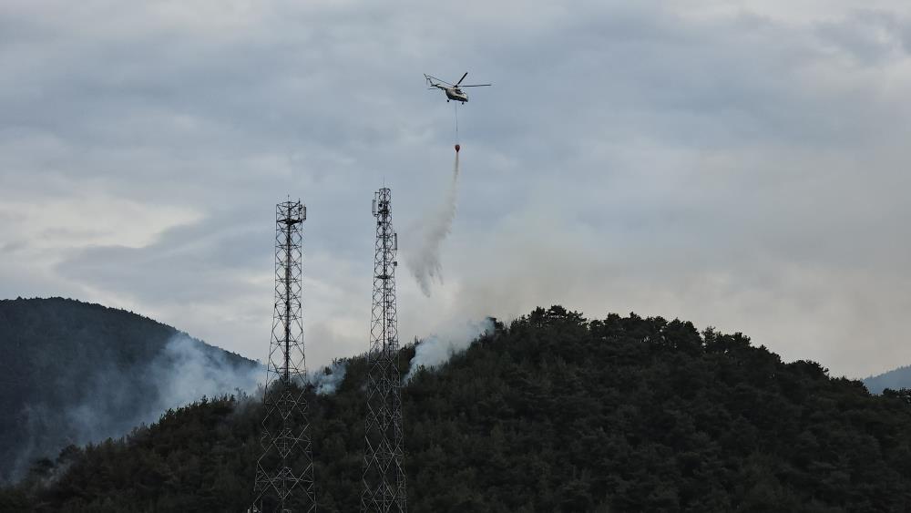 Ormanlık alandaki yangın 4 saatte kontrol altına alındı