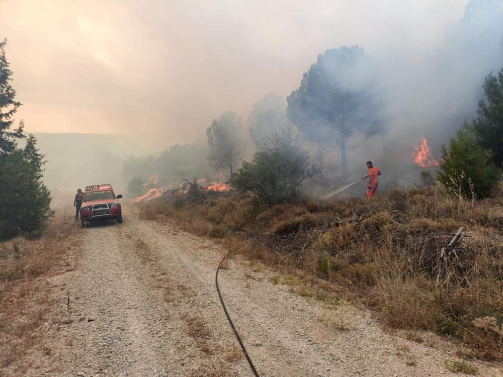 Çanakkale deki orman yangını kontrol altına alındı