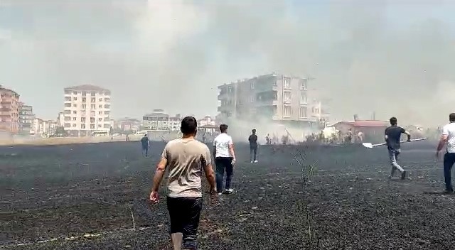 20 dönümlük buğday tarlası tamamen kül oldu