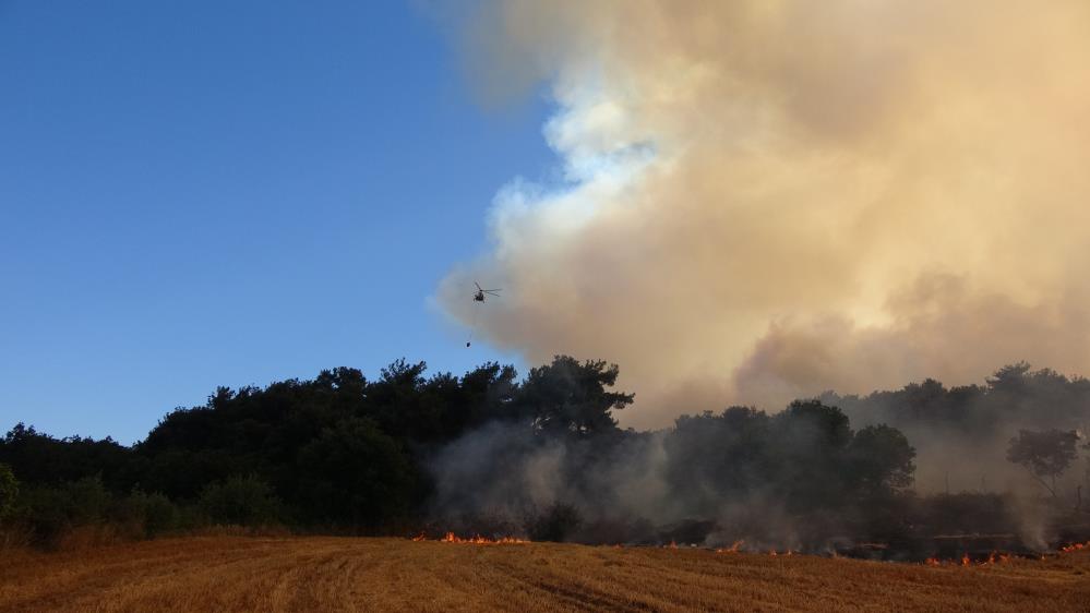 Çanakkale’de orman yangınına havadan ve karadan müdahale ediliyor