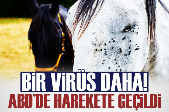 ABD de sivrisineklerden insanlara bulaşan virüse karşı harekete geçildi